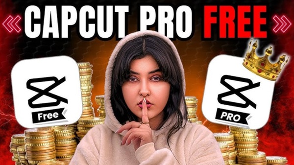 capcut pro apk 17.3.1 download